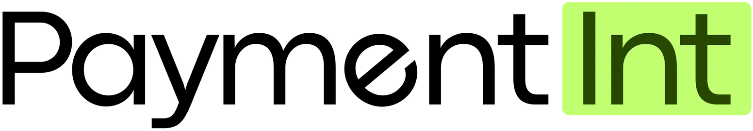 PaymentInt - Intelligent Payment Platform